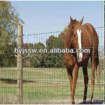 Flexible Metal Horse Fence